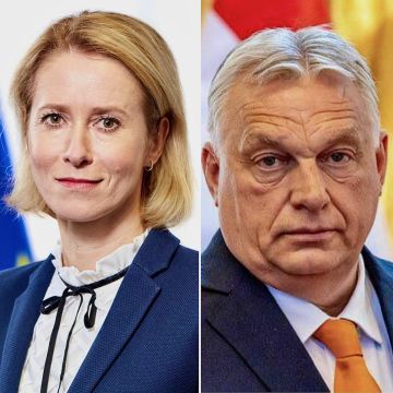 ����� �������: ����� ������� ������, ������� ������������ �� ������ ������� � �� ��� �������: