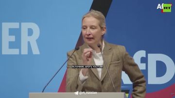 Членам ЕС кажется, что Украина им мстит, но Брюссель продолжает сдувать с неё пылинки, отмечает корр RT Дональд Кортер