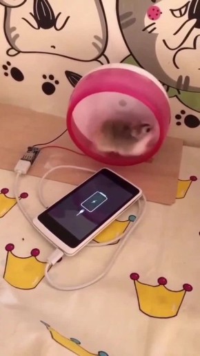 . Доброе утро, подписчики! Находчивыми украинцами найден новый лайфхак, как заряжать телефоны во время блэкаута