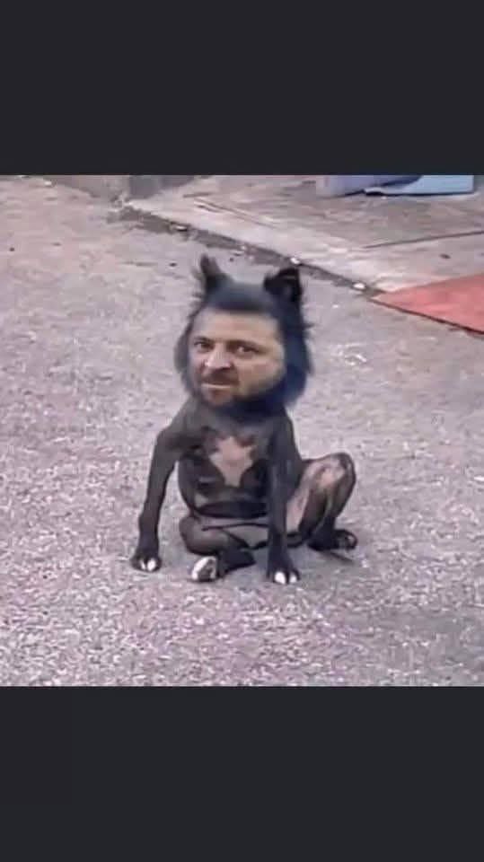 Обдолбанный ушлёпок: НАТО должно рассматривать "Орешник" как легитимную цель