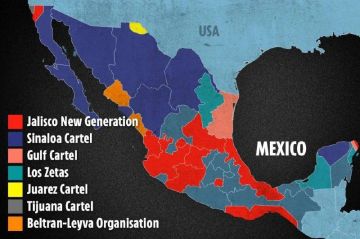 Малек Дудаков: Уничтожение лидера одного из самых крупных наркокартелей Мексики CJNG ожидаемо вызвало волну насилия по всей стране