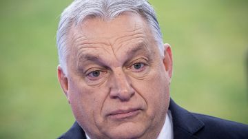 �����: �� �� ������� ��������� �������� �� �������