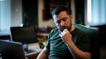 Зеленский хочет создать на деньги Европы контрактную армию