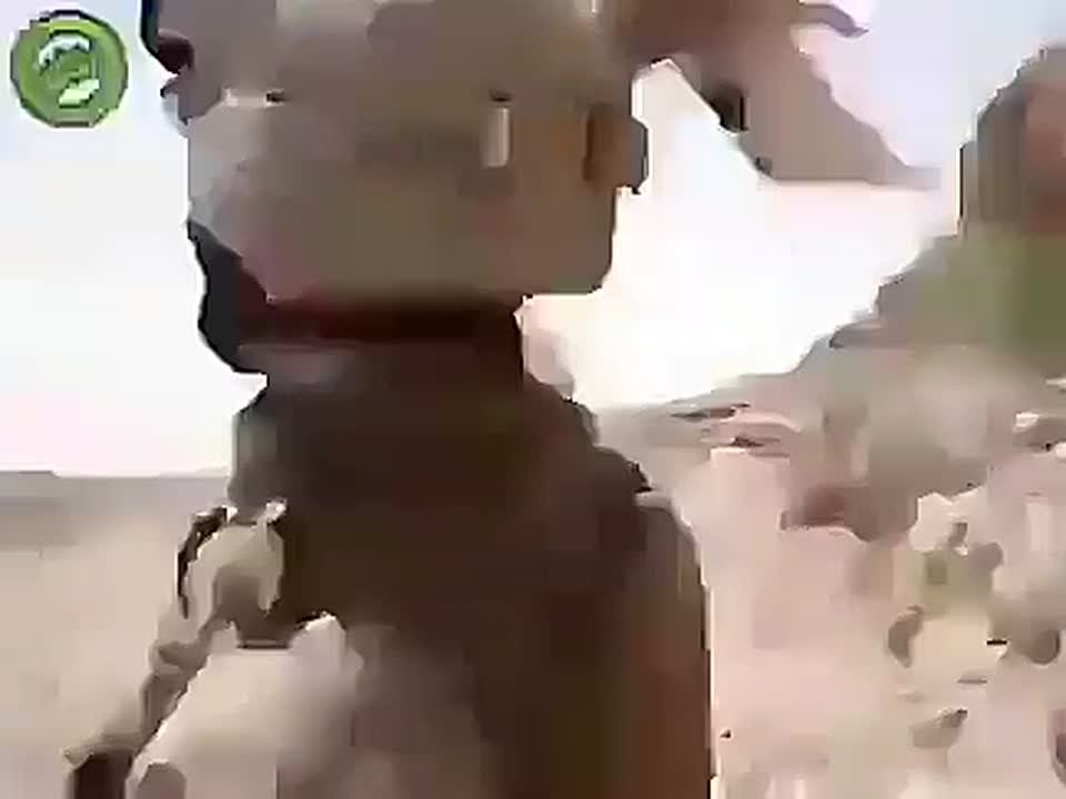 Зверье под звездно-полосатым флагом