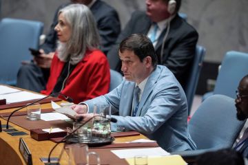 Против России руками украинцев воюет НАТО, заявил Полянский