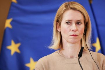 "Стратегическое поражение". Дипломат ответил на слова Каллас о России