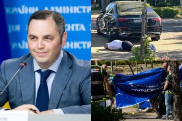 Предполагаемый убийца советника Виктора Януковича юриста Андрея Портнова задержан в Германии