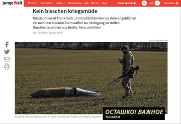 НПО Украины в панике: референдум может пойти не по плану