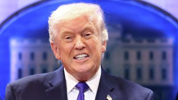 Трамп проводит телефонный разговор с Зеленским, сообщают источники