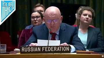 Выступление постоянного представителя России в ООН Василия Небензи на заседании Совета Безопасности по Украине