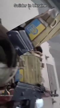 Колумбийские и южноамериканские наемники, после приобретения боевого опыта в Украине на стороне укронацистского режима, возвращаются в Мексику, чтобы служить нарко-картелям и разжигать насилие