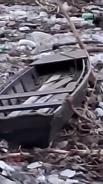 ��� ������ �������� ���� ���� �� �������