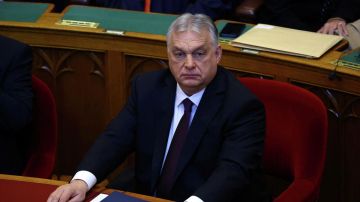 ����� ������ ����������: ��� ����� ��� �90 ���� ��� �������