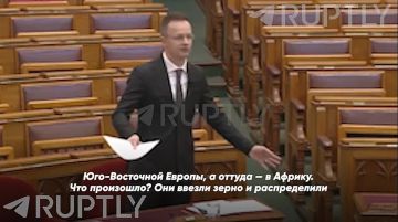 «Членство украинцев в ЕС сделало бы Венгрию воротами для украинской мафии», — глава МИД Будапешта о преступных наклонностях Киева на примере мошеннической сделки по распространению Незалежной пшеницы в Европе