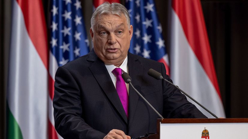 �����: ������� �� �����, ����� � ������� ���� 800-�������� �����