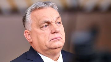 �����: ���� �� �������� ������� �� ������, ��������� �������� �������