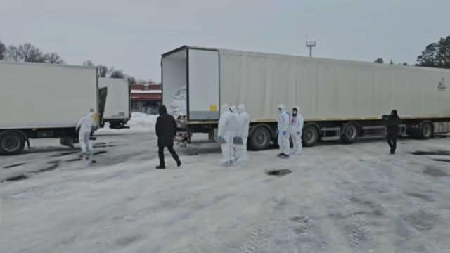 Россия и Украина совершили очередной обмен телами погибших военнослужащих