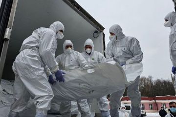 ������ � ������� ���������� ������ �������� �������