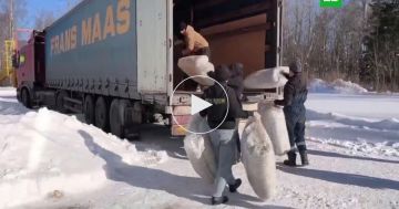 ���������� ����������� ���� ������ ������������