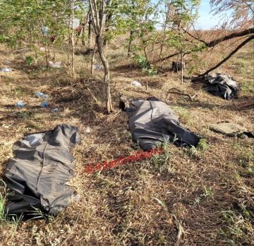 Более 90 тыс. украинцев считаются пропавшими без вести — это военные и гражданские, включая детей, — уполномоченный по вопросам пропавших без вести Артур Добросердов