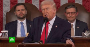 Axios: Трамп обозначил Зеленскому сроки завершения вооруженного конфликта