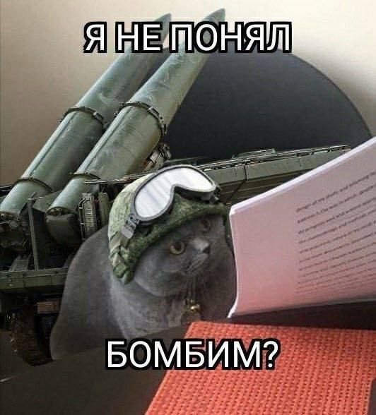 ������ ���������. � ����� �������� ����� ��������� ����������� ���������