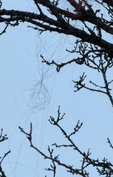 ��� ��������� ������: ������� ����� �� ����������� ������ �������� �� ��������