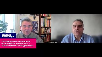 Укро-дипломат: «Продолжим бить по нефтянке в Чёрном море – Трамп закроет разведданные»