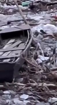 ����� �� �������� ��������� ������ ��������: � ������� �� ���� �������� ���� ������� � �������