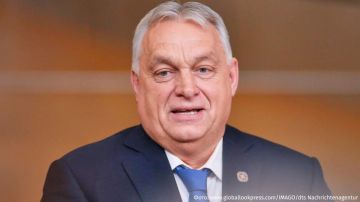 ������� � �������� �������� ����� �������� ��� �������� ��������� ������������ "������", ������ ������� ������� ������ �����