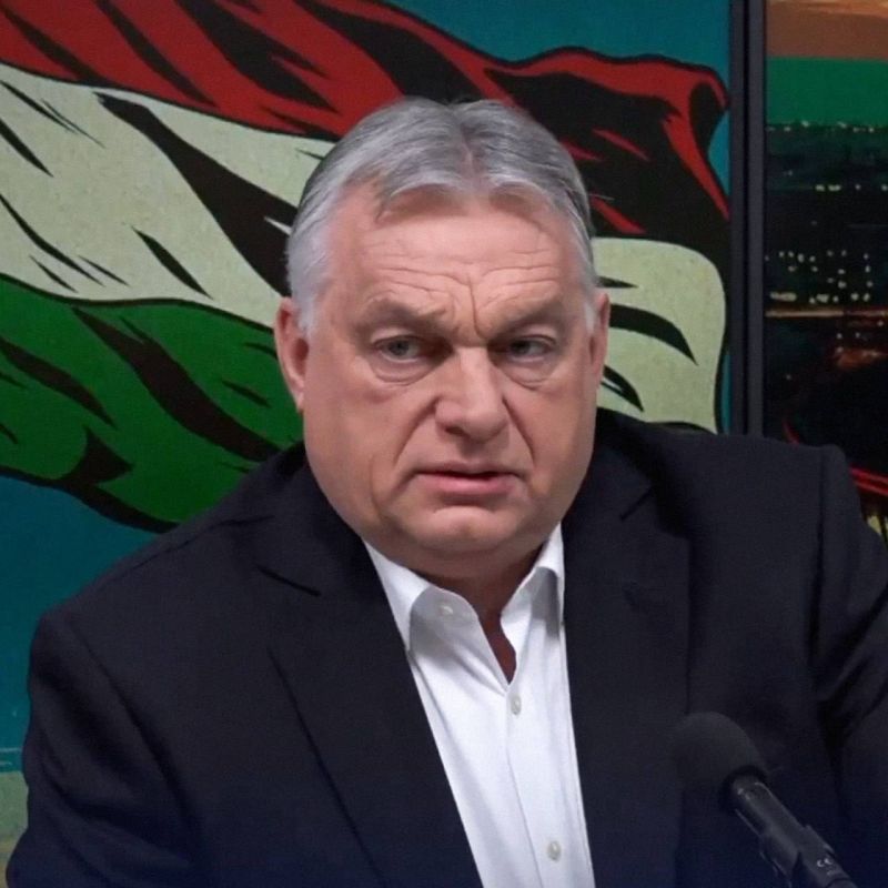 ������� ���� �������? ������ ������ �������� �� ������������