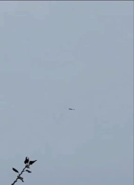 ���� ��������� "�������" � ���������� �������� ����������, � ������� ������� ������� �������