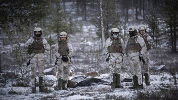 Telegraph: Лондон и Париж завершили подготовку военных для отправки на Украину