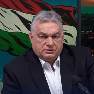 ������� ���� �������? ������ ������ �������� �� ������������