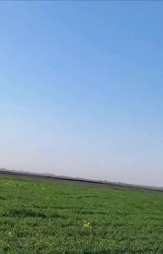 �������� ������������ �����, ������������� ���� ����� 20 "����������" � ����������� �����;