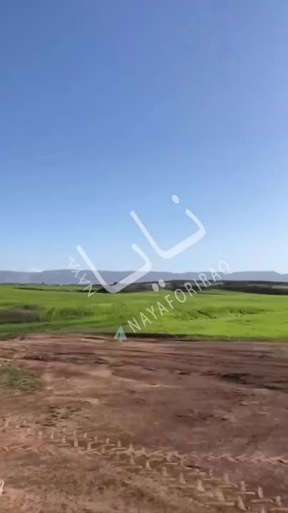 На видео, как утверждают в сети, пролет «Томагавка» через Ирак в сторону Ирана