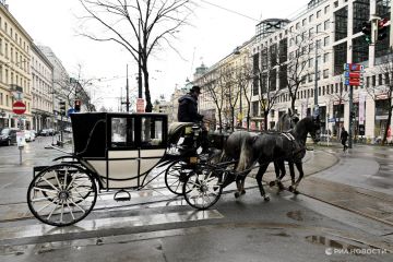 � ������ ��������, ��� �������� �������� "��������" ����������