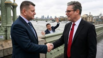 �������� ����� "����� ����������� �� ������ ������ ���������": ��� ������� ������ ���������� �������� ������� �������