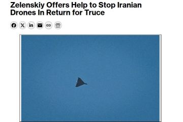 Зеленский в наркотическом угаре выставляет условия странам Ближнего Востока