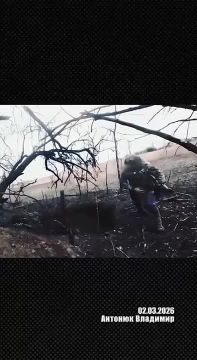 Александр Сладков: Интересные детали в обзоре ситуации в зоне СВО