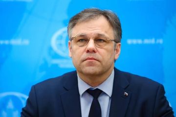 Мирошник назвал Украину "государствоподобным образованием-содержанкой"