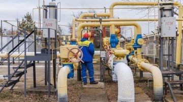 ������� Arctic Metagaz ����� � ������� ������: Reuters �� ��������� ����� ����������� �����