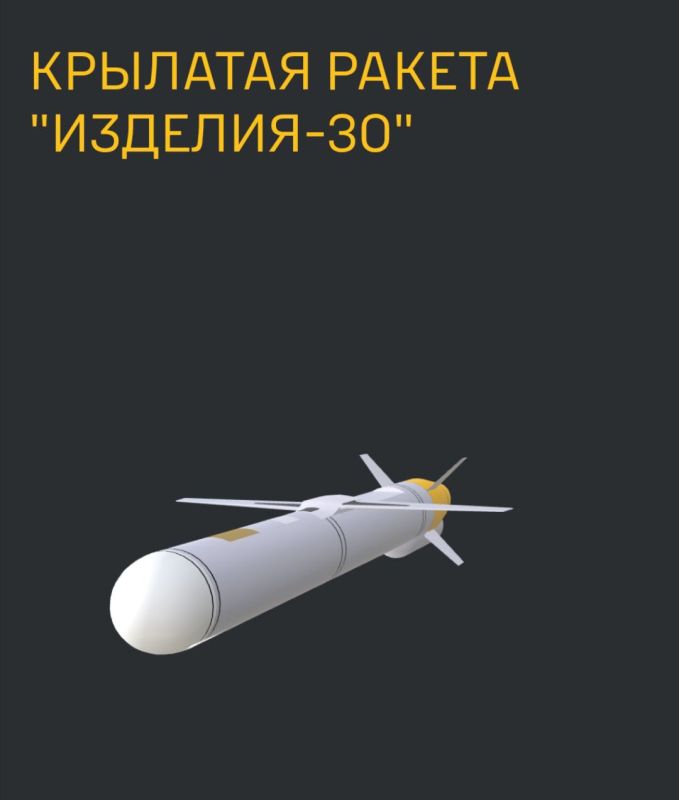 Елена Панина: ВС РФ начали применять против ВСУ новую крылатую ракету