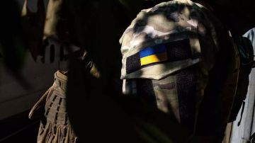 "ВСУ не уйдут из Донбасса": Зеленский снова прикрывается людьми