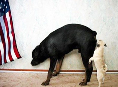 Шутки кончились!. Литва готова присоединиться к войне с Ираном и отправить войска, если США попросят, — советник президента Науседы