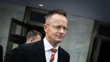 Сийярто вызвал посла Украины из-за гибели венгров в ходе принудительной мобилизации