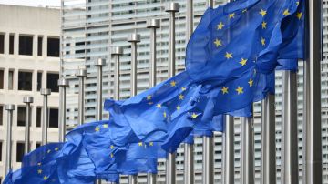 ������������ ���� ����� �� ������ � �������� ��� �������