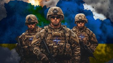 "Русских никто не спрашивает": В США призвали ввести войска НАТО на Украину. Прозвучал ультиматум
