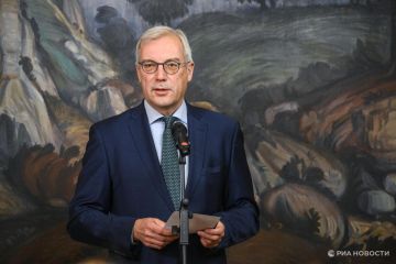 Грушко встретился с замгоссекретаря Венгрии по политике безопасности