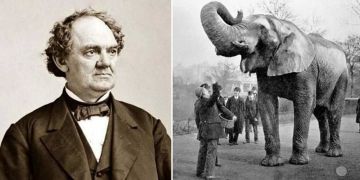 Александр Коц: ВЕЧЕРНИЙ ЗВОН:. цирк уходящего дня